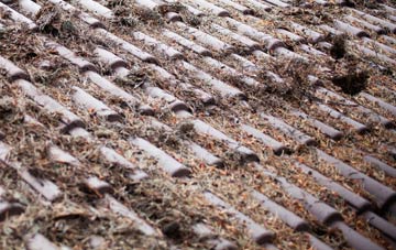 Stanton On The Wolds roof cleaning companies